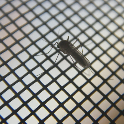 Magnetische Insectenhor