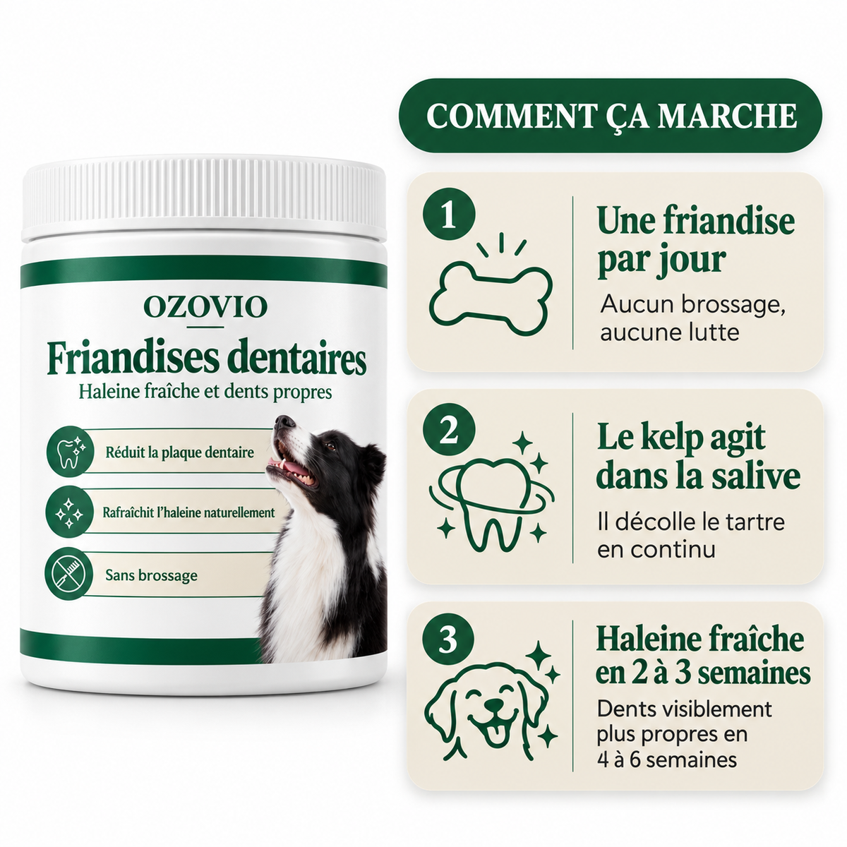 Comment ça marche - une friandise par jour